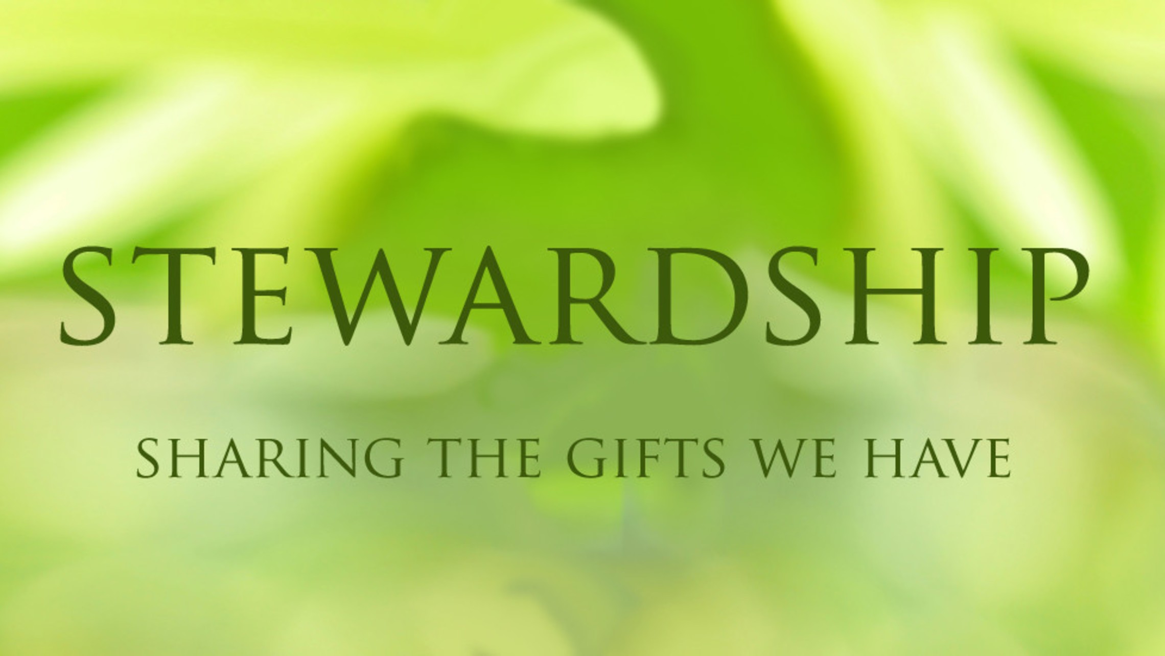 Stewardship With Text