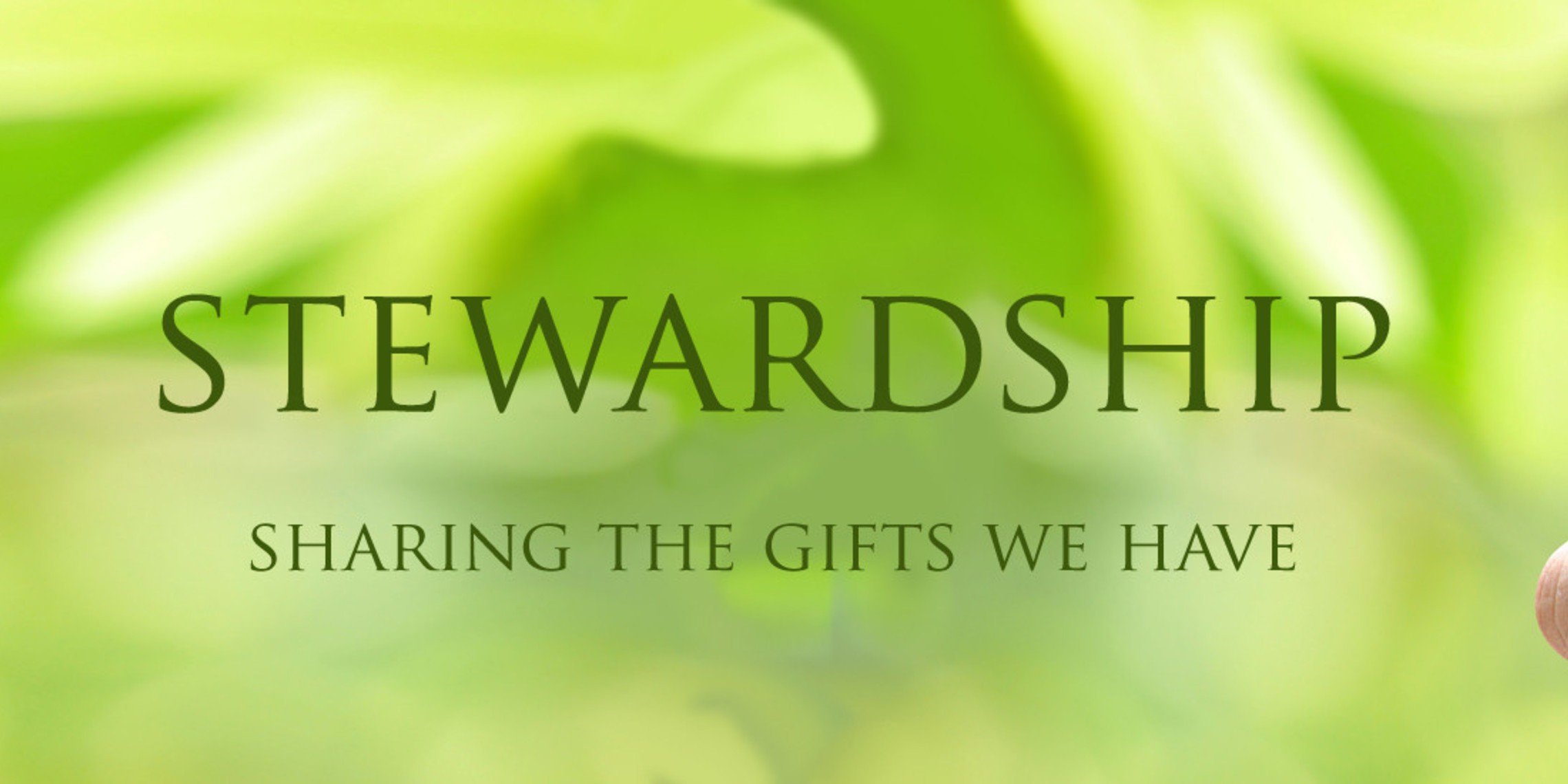 Stewardship With Text