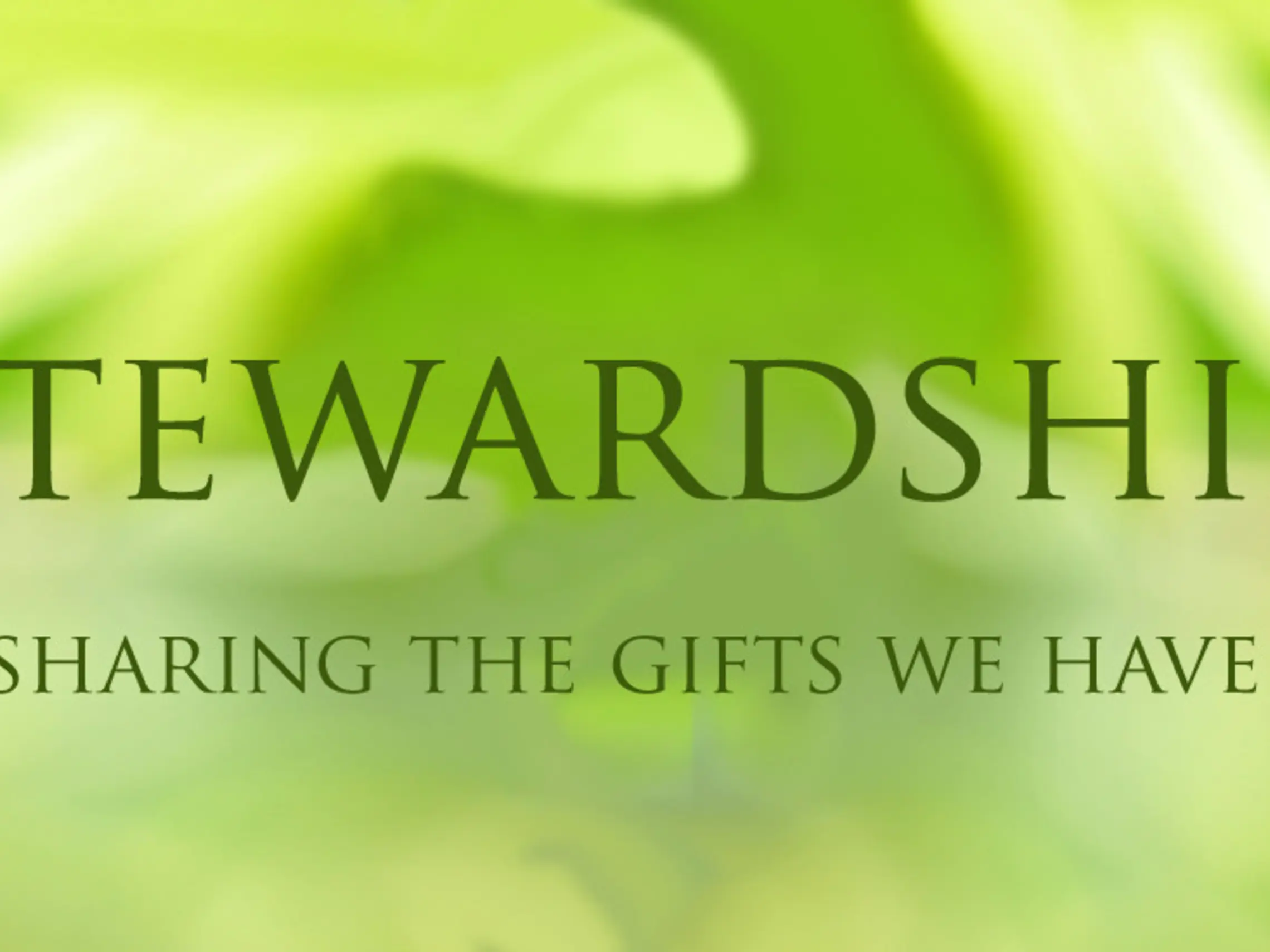 Stewardship With Text