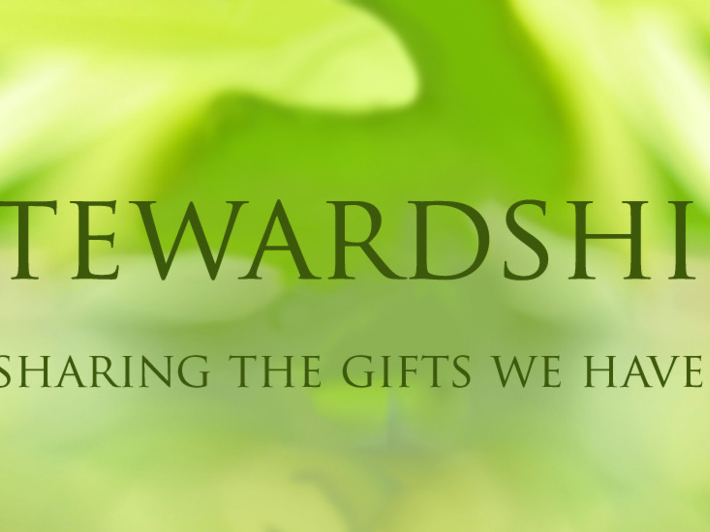 Stewardship With Text
